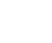 Evolution games at Nushi Casino